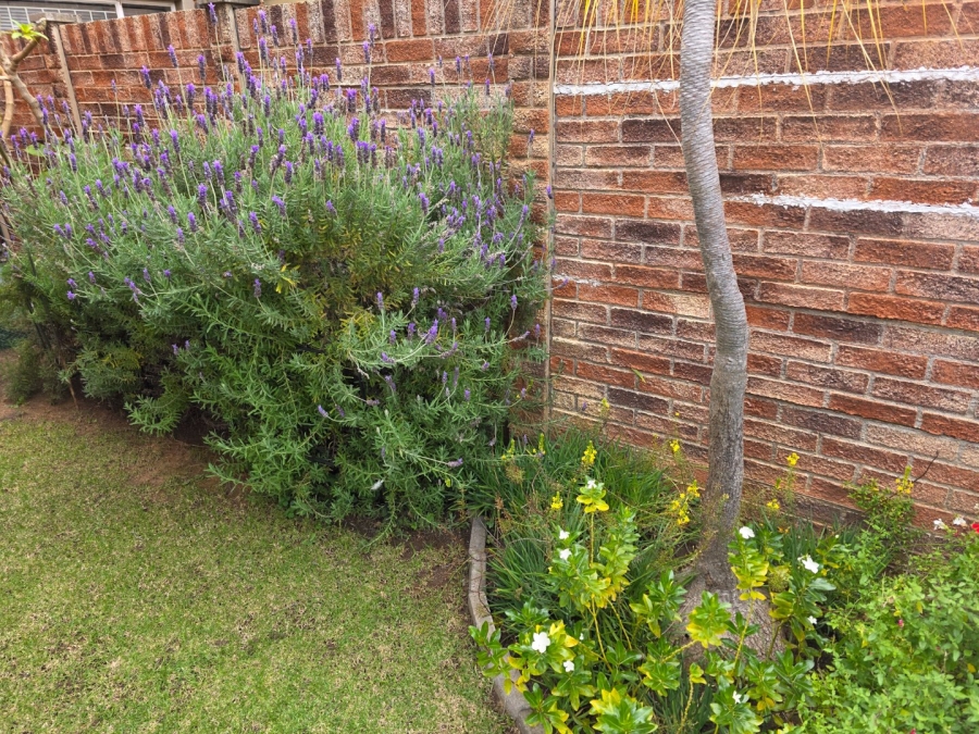 2 Bedroom Property for Sale in Langenhovenpark Free State
